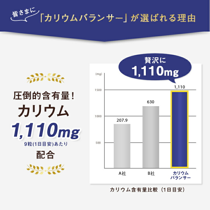 お得な3袋セット カリウムバランサー 大容量 450粒 健康食品 サプリ サプリメント カリウム 栄養機能食品 塩分 むくみ ダイエット 食生活 生活習慣 ストレス 健康 美容 Sermus Es