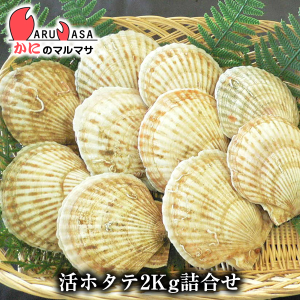 祥山造 仁清猿香合 平安 共箱 茶道具 AT121 1F28