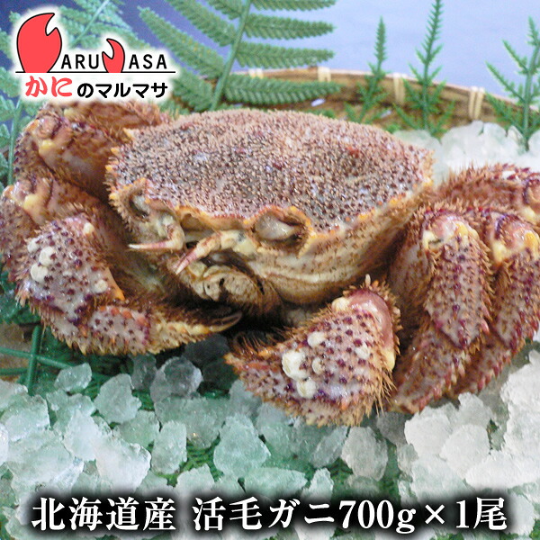 活毛がに 700g×1尾セット 翌日便 北海道産 毛がに 毛蟹 毛ガニ かに カニ 蟹 カニ通販 特大 道産品 厳選素材 お土産 プレゼント 贈り物 お取り寄せ ギフト