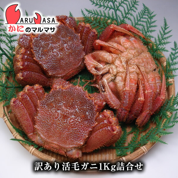 訳あり活毛がに 1kgセット 翌日便 北海道産 毛がに 毛蟹 毛ガニ かに カニ 蟹 カニ通販 お取り寄せ通販 道産品 厳選素材 お土産 プレゼント 贈り物 お取り寄せ ギフト