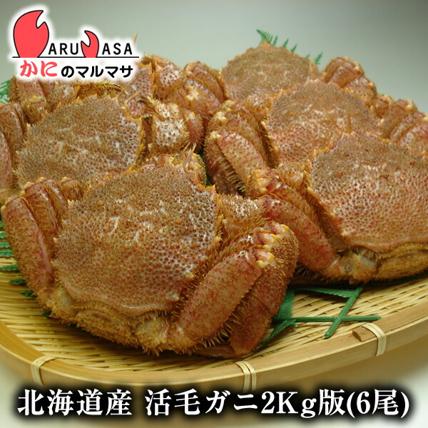 安いそれに目立つ お取り寄せ ギフト 毛ガニ あす楽 北海道産 冷蔵 活毛がに 2k版6尾セット 楽天ランキング入賞毛カニ部門ランクイン 毛蟹 あす楽対応 堅蟹 カニ通販 海産物 新着商品 Vancouverfamilymagazine Com