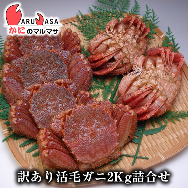 毛ガニ 毛蟹 カニ通販 北海道産 毛蟹 楽天ランキング入賞毛カニ部門ランクイン あす楽 2kgセット 北海道から冷蔵航空便で翌日配達 お得な福袋をお取り寄せ 訳あり 北海道 カニ通販 活毛蟹専門店の味をお試し下さい 北海道産 訳あり活毛がに 道産品 かにのマルマサ 毛ガニ 毛蟹 カニ通販 北海道産 毛蟹 楽天ランキング入賞毛カニ部門ランクイン あす楽 2kgセット 北海道から冷蔵航空便で翌日配達 お得な福袋をお取り寄せ 訳あり 北海道 カニ通販 活毛蟹専門店の味をお試し下さい 北海道産 訳あり活毛がに 道産品 かにのマルマサ