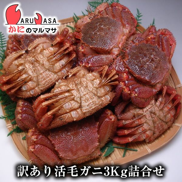 北海道産 訳あり活毛がに 3kgセット 楽天ランキング入賞毛カニ部門ランクイン 3kgセット あす楽 毛蟹 毛ガニ ほたて カニ通販 お取り寄せ 道産品 かにのマルマサ 北海道 北海道から冷蔵航空便で翌日配達 お得な福袋をお取り寄せ 訳あり わけあり 訳まち 期間限定 北海道産 訳あり活毛がに 3kgセット 楽天ランキング入賞毛カニ部門ランクイン 3kgセット あす楽 毛蟹 毛ガニ ほたて カニ通販 お取り寄せ 道産品 かにのマルマサ 北海道 北海道から冷蔵航空便で翌日配達 お得な福袋をお取り寄せ 訳あり わけあり 訳まち 期間限定