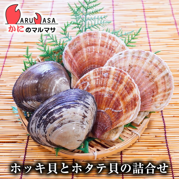 m*a様 貝　まとめ売り m*a様 貝 まとめ売り m*a様 貝 まとめ売り ZXシリーズ｜中古｜NTT