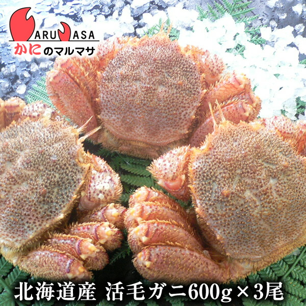 在庫限り 北海道産 活毛がに 600g 3尾 セット 楽天ランキング入賞毛カニ部門ランクイン あす楽 毛蟹 毛ガニ カニ通販 道産品 お取り寄せ ギフト 数量限定 特売 Neweurasia Info