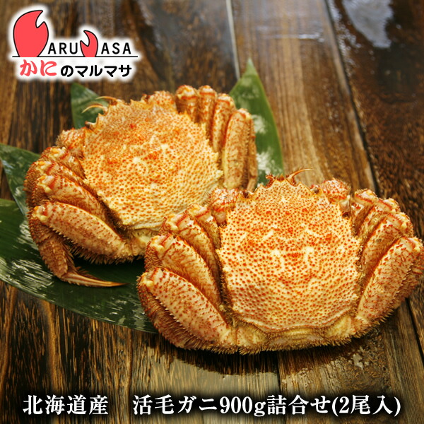 無料長期保証 楽天市場 北海道産 活毛がに 900g詰め 2尾 セット 楽天ランキング入賞毛カニ部門ランクイン あす楽 毛蟹 毛ガニ カニ通販 道産品 母の日 ギフト かにのマルマサ 北海道 即発送可能 Blog Belasartes Br