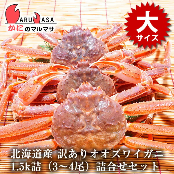 楽天市場】カニフォーク/カニスプーン 10本セット ゆうパケット 送料