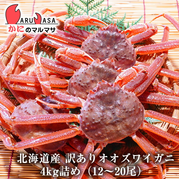 訳あり活オオズワイ蟹 4kg詰め（12～20尾入り）セット 翌日便対応北海道 活ズワイガニ 活ずわいがに カニ通販 北海道産 お取り寄せ通販 道産品 厳選素材 お土産 プレゼント 贈り物 お取り寄せ ギフト
