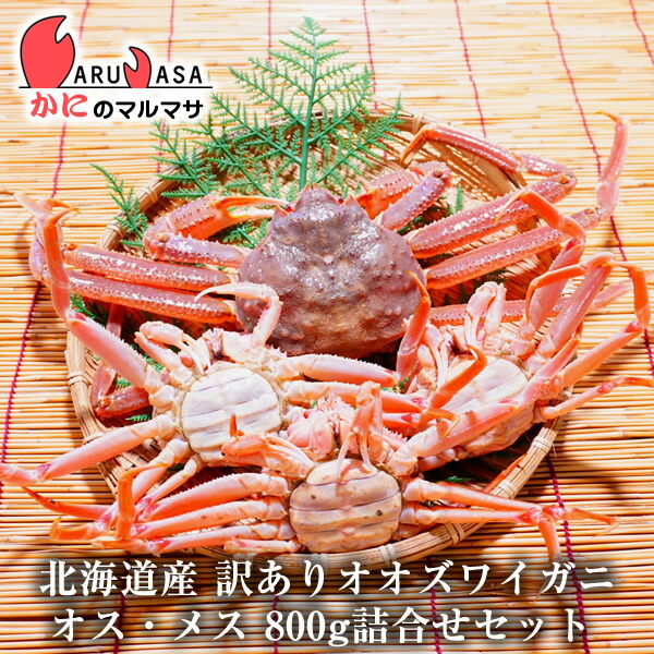 ★ガニオクン★2本セットで好き 楽天市場】【ポイント10倍】訳あり 活 オオズワイガニ 1kg詰め（2尾