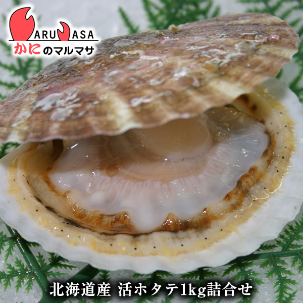 母の日 ギフト ほたて あす楽【北海道産 冷蔵 活ホタテ貝1kg詰め合わせ 楽天ランキング入賞ホタテ部門ランクイン!!】活ほたて貝 活帆立貝 あす楽対応 海産物 BBQ バーベキュー 母の日 ギフト ほたて あす楽【北海道産 冷蔵 活ホタテ貝1kg詰め合わせ 楽天ランキング入賞ホタテ部門ランクイン!!】活ほたて貝 活帆立貝 あす楽対応 海産物 BBQ バーベキュー