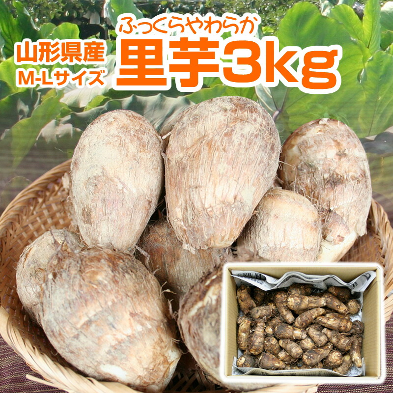 楽天市場】【予約】【訳有り】【送料無料】山形県産泥付き「里芋」お徳用 約5kg(S〜Ｌサイズ) : ひでちゃんファーム丸松農園