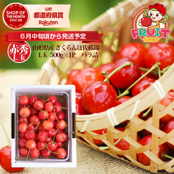 お買い物マラソン大特価！！【予約】2026年6月～発送早割特別価格 送料無料 山形産 さくらんぼ 「佐藤錦」500g（500g×1P）バラ詰(赤秀品Ｌ玉以上) サクランボ 御中元 ギフト 楽ギフ_のし 楽ギフ