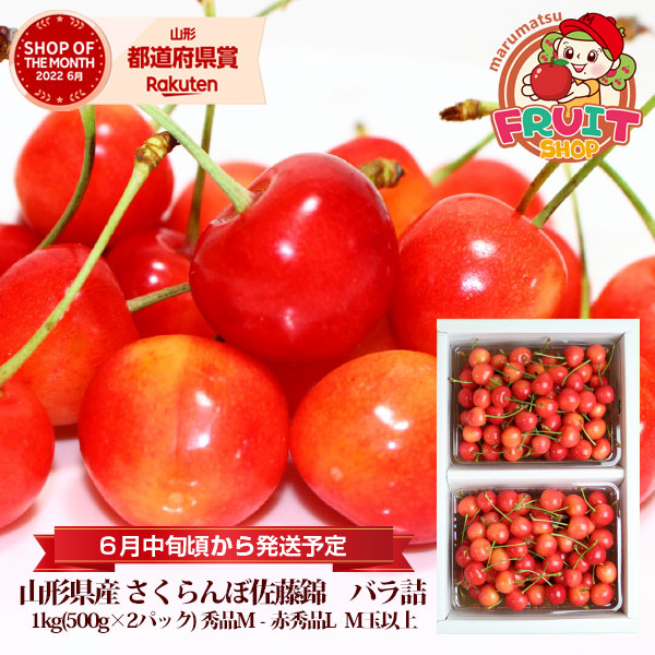 お買い物マラソン大特価！！【予約】2026年6月～発送 送料無料 山形産 さくらんぼ 「佐藤錦」1kg（500g×2P）M～Ｌ玉バラパック詰 山形 佐藤錦 サクランボ 露地 産直 1キロ ご家庭用