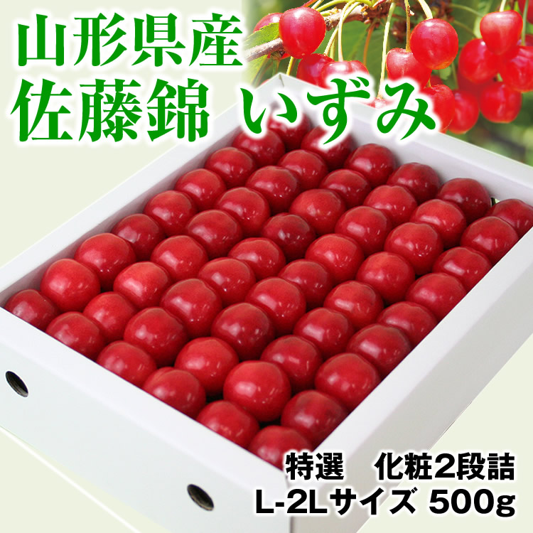【予約】 早割特別価格 ギフト 山形セレクション認定 山形産 さくらんぼ 「佐藤錦」いずみ500g化粧詰 山形 佐藤錦 サクランボ 露地 産直 お中元 贈答ギフト 楽ギフ_のし 楽ギフ_のし宛書 楽ギフ_メッセ入力