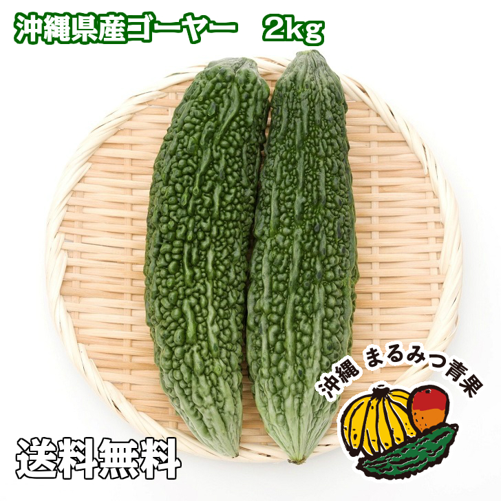 楽天市場 特別sale10 Off 沖縄島野菜代表 ゴーヤー2kg 7 10本 送料無料 にがうり ゴーヤ 沖縄料理 野菜 サラダ 国産 お弁当のおかず スムージー 業務用 卸 健康食品 ビタミンc 買い回り 沖縄 沖縄産 沖縄県産 沖縄野菜のまるみつ青果