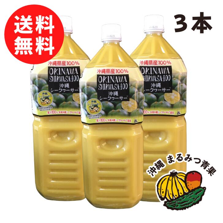 訳ありセール格安 沖縄県産青切りシークワーサー果汁100 2リットル 3本 沖縄 沖縄県産 シークヮーサー シークワーサー ストレート果汁 シークァーサー 原液 ジュース オキハム ドリンク ビタミン ノビレチン クエン酸 抗酸化作用 業務用 卸 贈り物 沖縄野菜