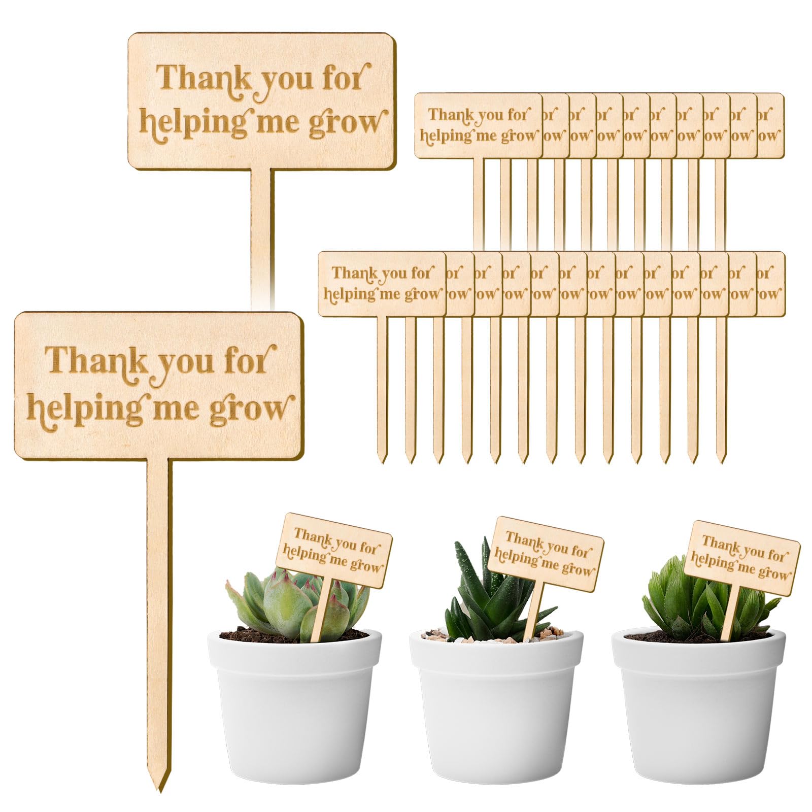 JarThenaAMCS Thank You for Helping Me Grow Plant Label もの言う花シャワー 木製草木ステークス 差し上げ物 多肉植物 庭 目じるし 草木息吹き 鉢植え指導員 有りがたさ 有りがたさ祭装置 30個