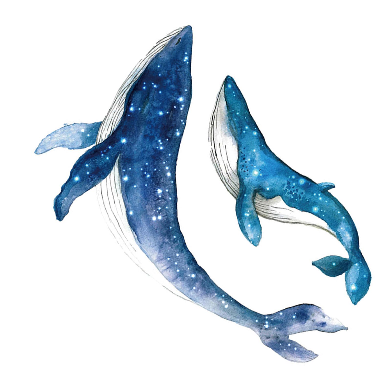 星空勇魚柄ねばり着く式ウォールステッカー PVC製屋内用飾りつけ 御部屋 リビング 臥し所の柔らかいな壁面かざり付ける用 2仕掛ける