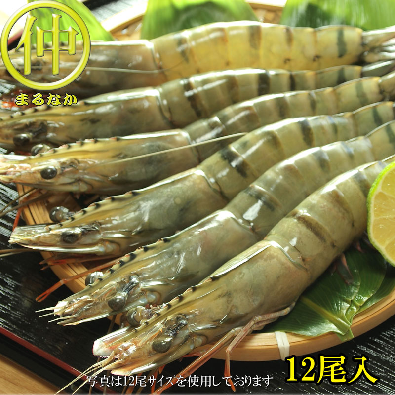 送料無料 ボイルズワイガニハーフポーション　1ｋｇ まるなか 24時間限定 半額4,980円 エントリーでP10倍！  丸