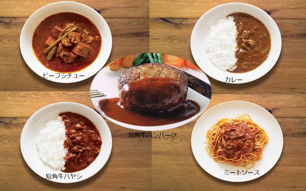 【国産和牛】短角牛 ディナー5種セット｛ハンバーグ・ビーフシチュー・ビーフカレー・ビーフハヤシ・ミートソース｝各2個 計10セット 温めるだけ 低脂肪 高タンパク 放牧牛 筋トレ ダイエット ヘルシー グラスフェッドビーフ  調理済み 贈答 お取り寄せ ギフト 岩手県産 牛肉