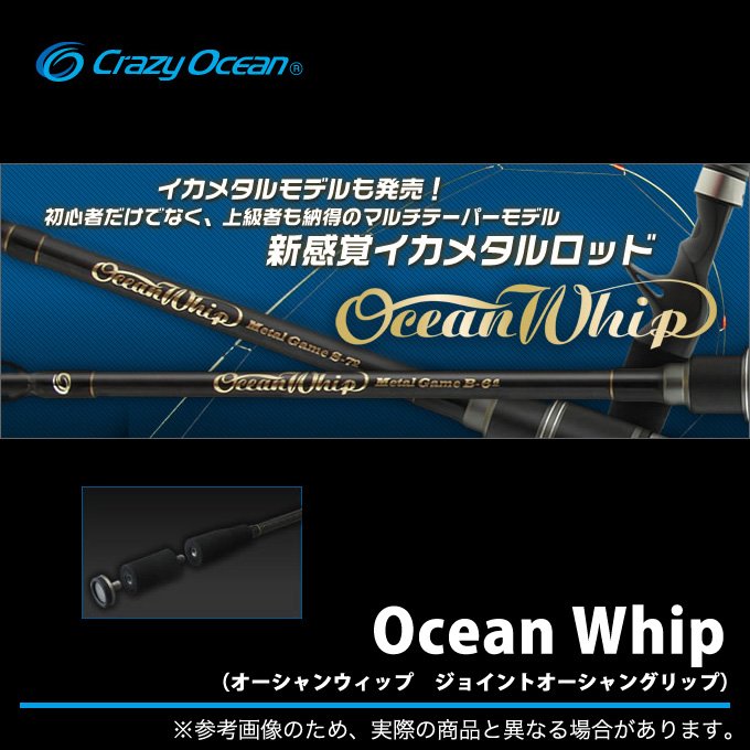 クレイジーオーシャン オーシャンウィップ イカメタル OWIM-B65A Crazy