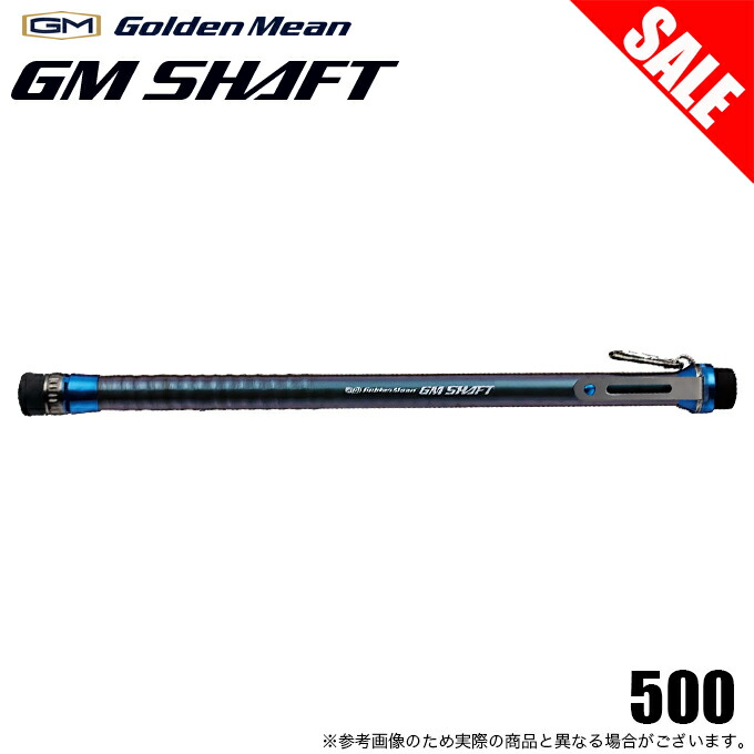 楽天市場】(5)【目玉商品】ダイワ ランディングポール II 60 （6m