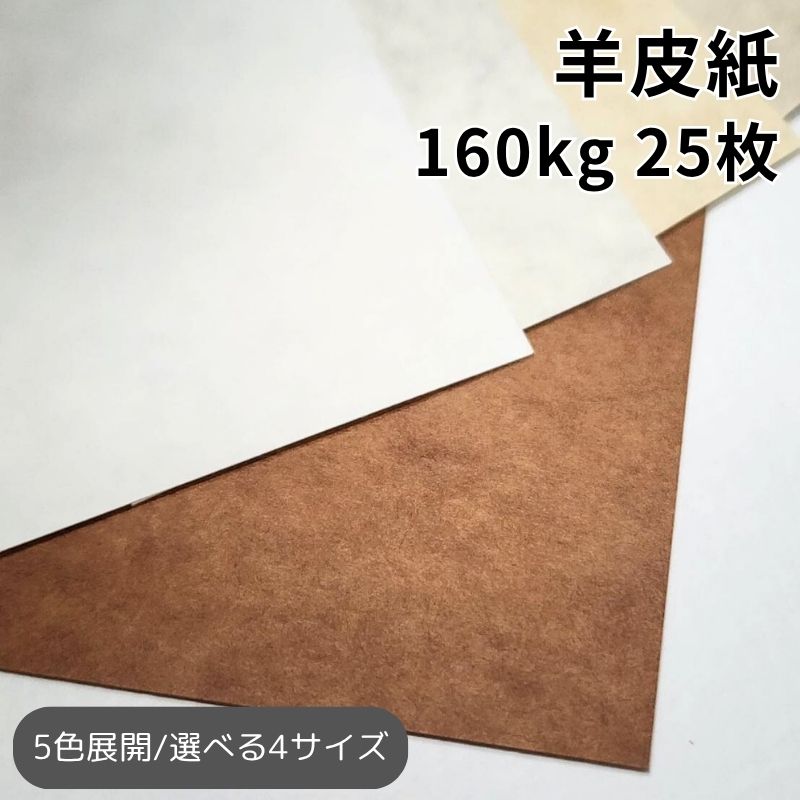 楽天市場】羊皮紙 788×1091mm 1枚 全5色｜厚さは4種類 80kg・110kg