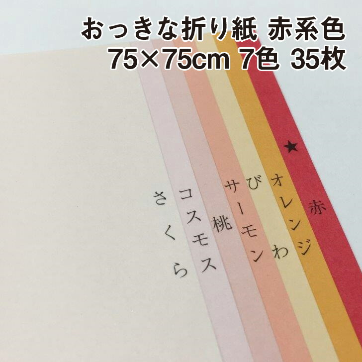 楽天市場】ビオトープGA-FS 45kg B5 40枚|全13色 柔らかい風合 クラフトパルプ マット 深みのある色彩展開 スムース : 紙屋の丸楽