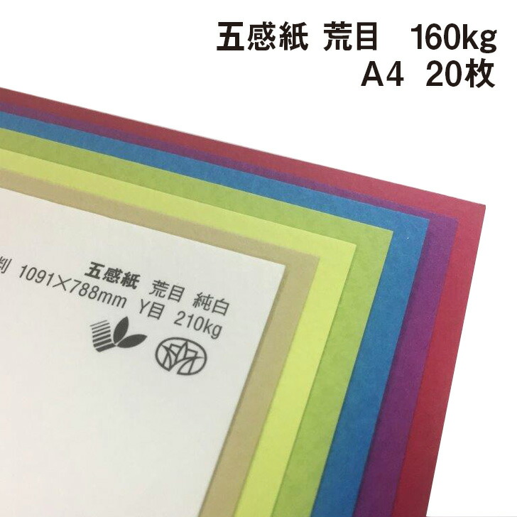 ペルソナ　紙類　まとめ売り 最高級板目紙 A A4（217×306） 100枚/包 600A セキレイ