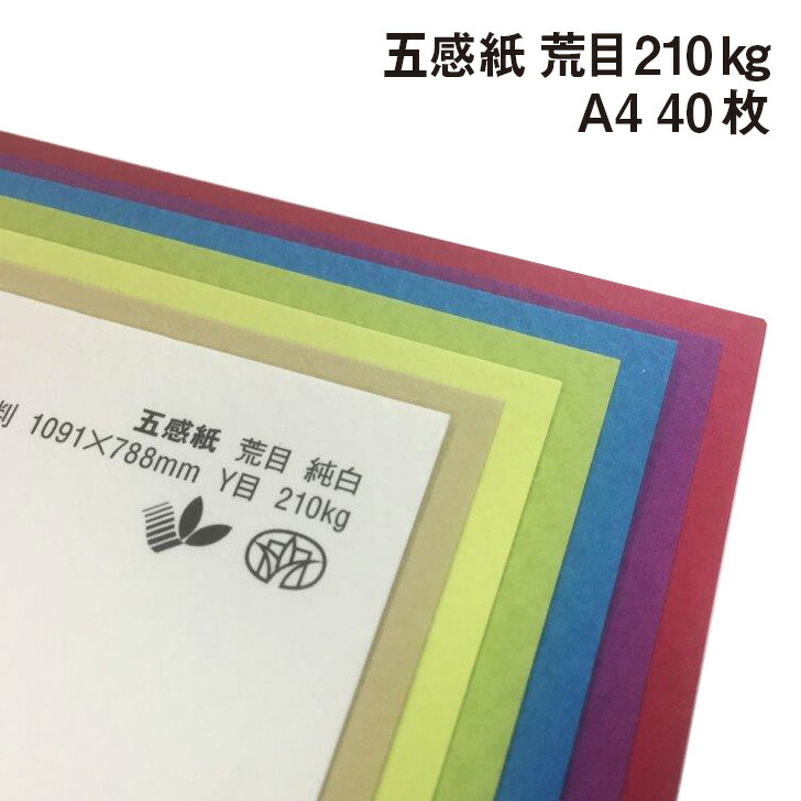 まるふじ/Marufuji 間短チョクリ五目 D-466 11-3, 12-5号 丸海津