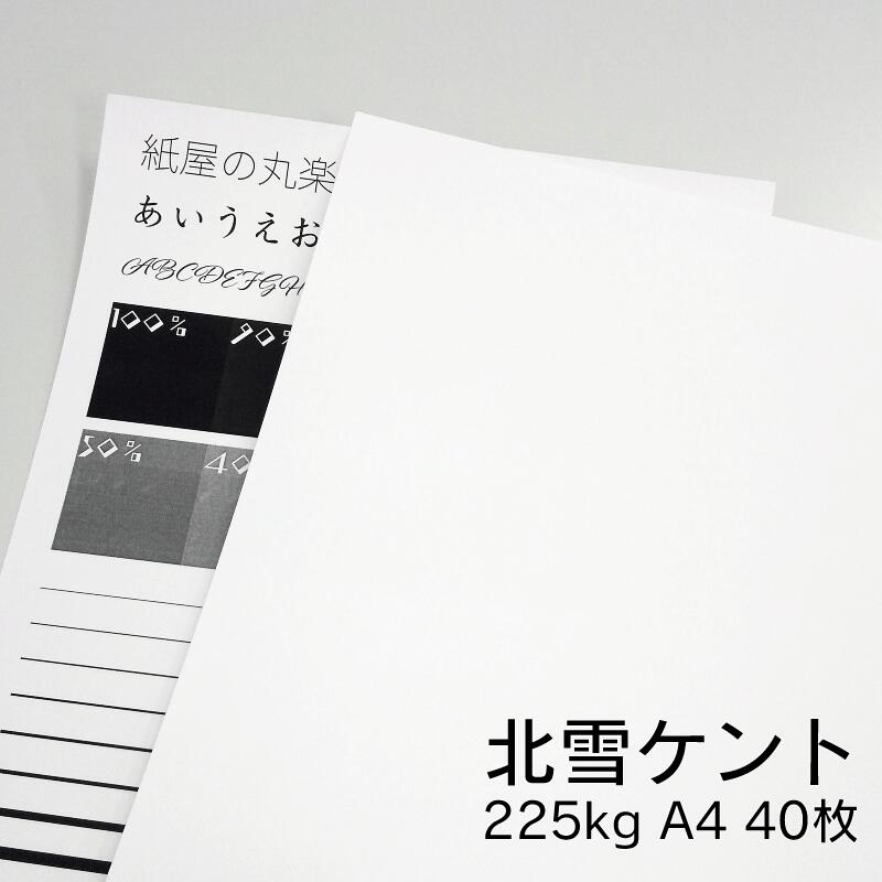 楽天市場】ミランダ 100kg A4 20枚|全13色 片面 キラキラ ガラスフレーク光沢 : 紙屋の丸楽