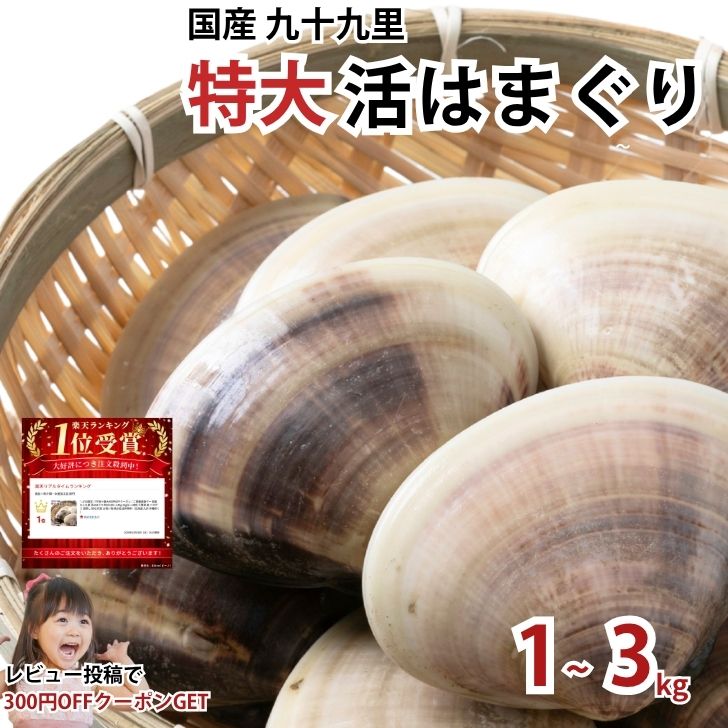 【楽天市場】【送料無料】国産 九十九里 活はまぐり 特大100〜140g 1kg(6〜10粒) 千葉県 蛤 ハマグリ 酒蒸し BBQ バーベキュー 花見 母の日 お吸い物 焼き蛤 おつまみ お取り寄せ 送料無料(北海道 九州 沖縄除く)ホンビノス:株式会社丸六