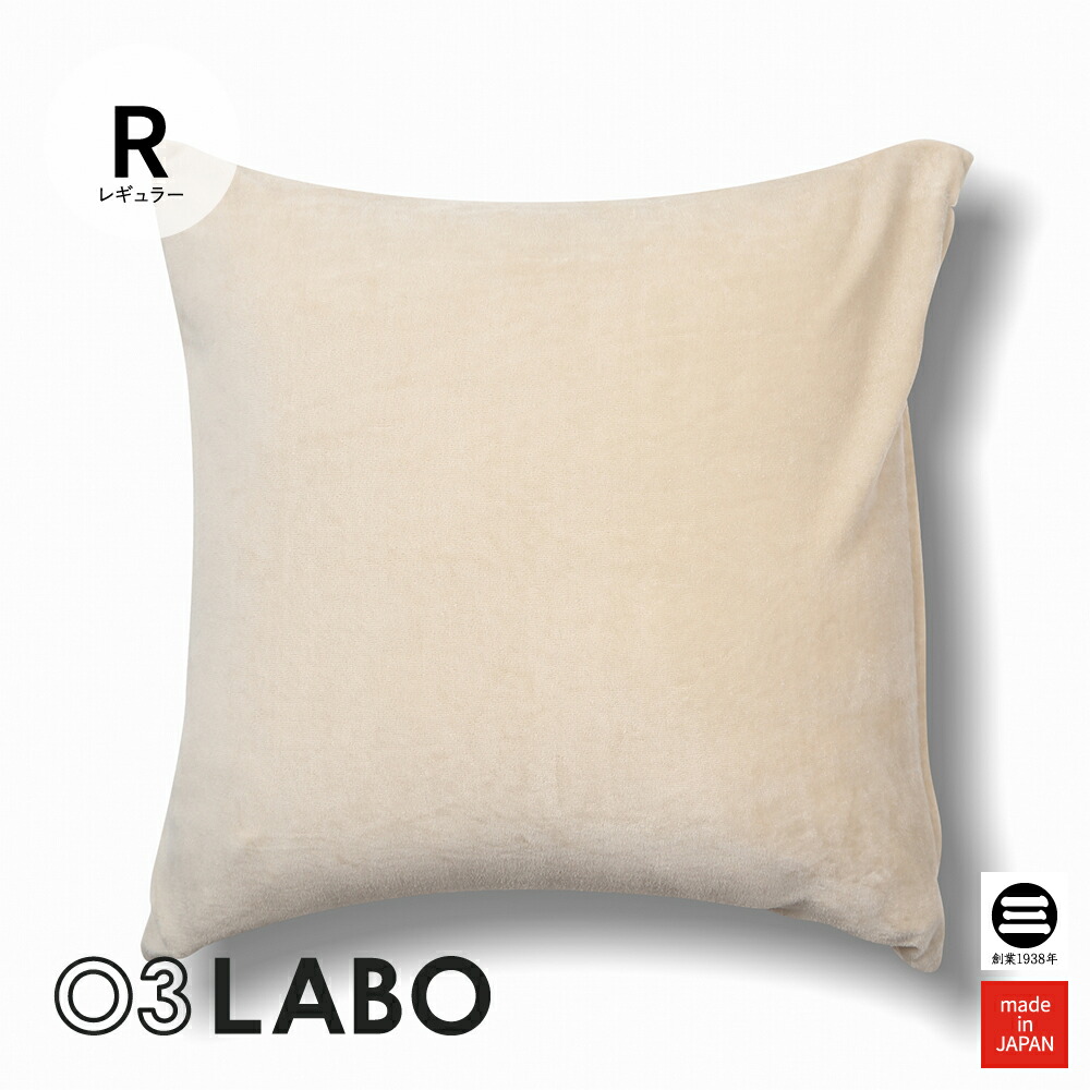 楽天市場】天絹 2 シルク交織サテン 洗えるクッションカバー 45×45cm