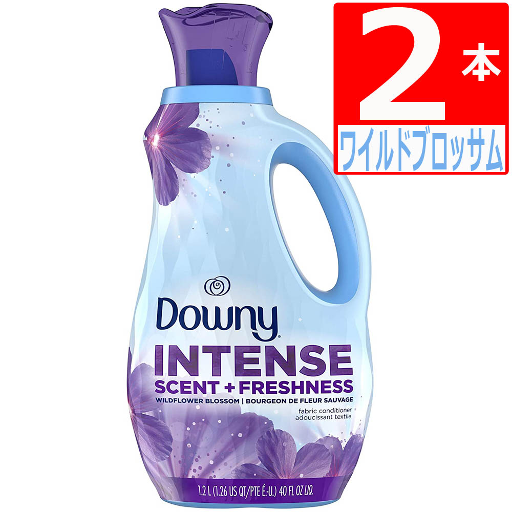 ダウニー 柔軟剤 パッション 10袋 750ml 詰替え