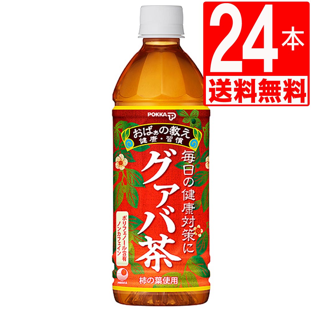 全国一律送料無料 さんぴん茶 沖縄ポッカさんぴん茶 500ml×48本 2ケース ペットボトル materialworldblog.com