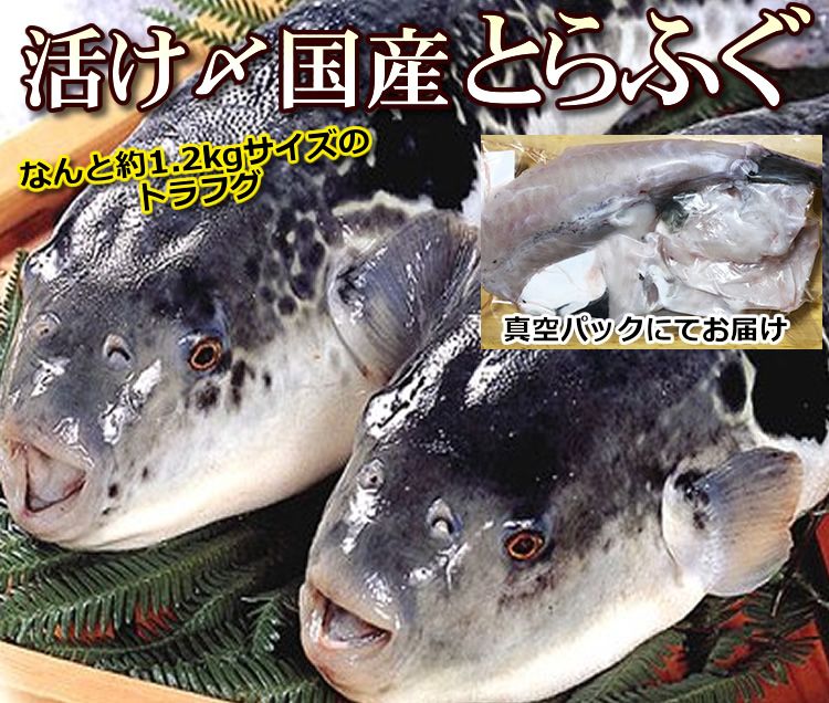 楽天市場】【送料無料】新物 生ずわい３ｋ6-7肩中心（アラスカ州産 ...