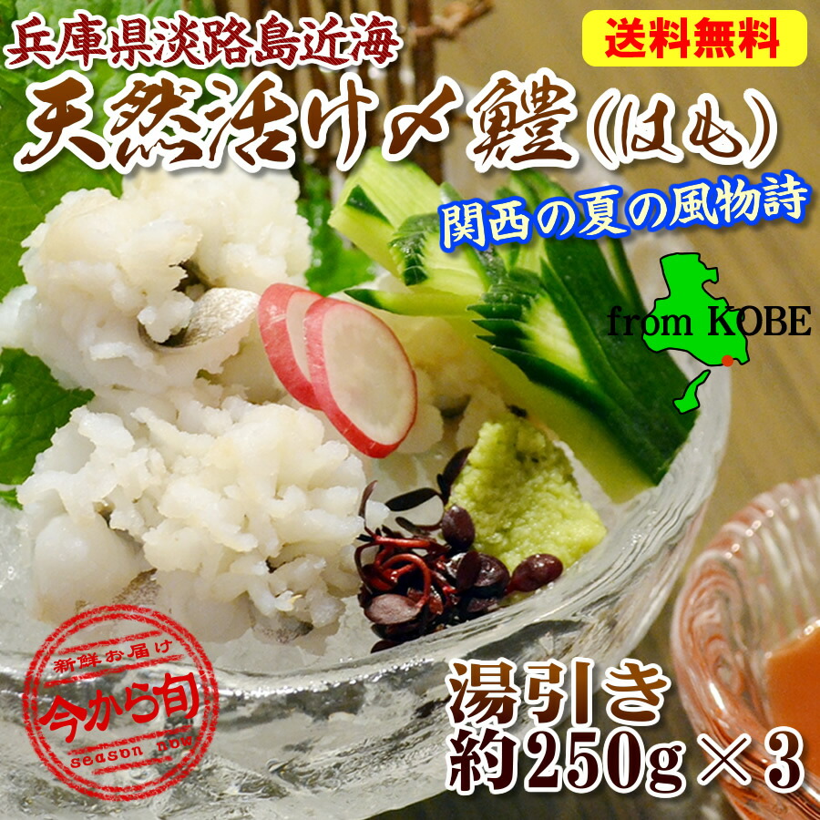 6月2日より出荷開始☆【送料無料】中央市場のプロ投票１位【神戸中央卸売市場でさばいて急速冷凍】これが最高の兵庫県淡路島産だ ワンフローズン 天然活〆 ハモ湯引き（加熱済）２５０ｇ×３<br>（1パックに梅肉と酢味噌各1袋サービス）【鱧 淡路島 はもすき はも鍋 鱧ちり】