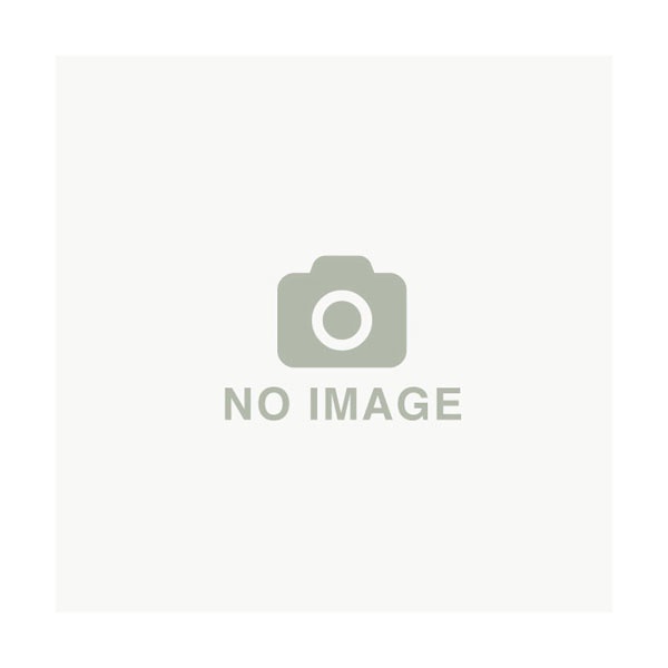 ISEKI ヰセキ イセキ純正部品 『ミッションオイルフィルター』 (品番 1719-508-791-00) (トラクター エレメント)