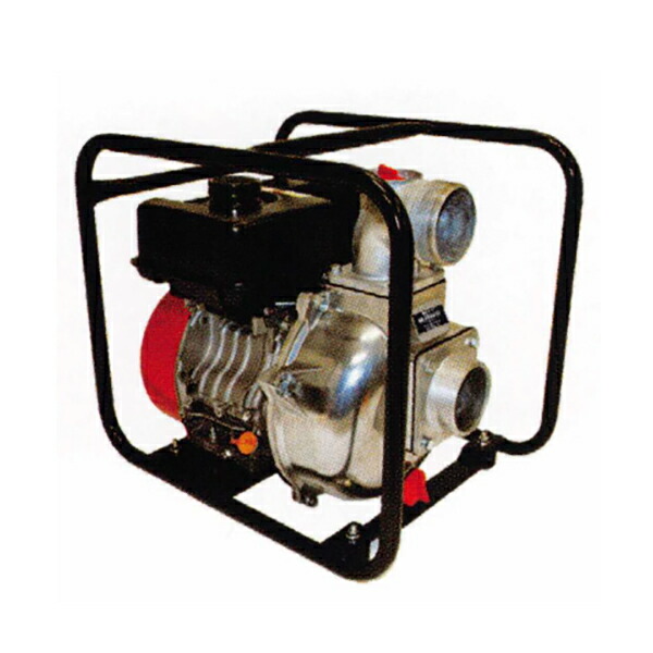 楽天市場】【1/25〜2/25開催！当選確率1/2☆最大100%P還元！要