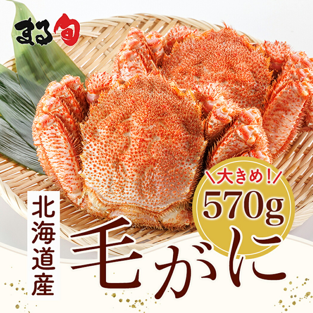 北海道産 毛がに570g 前後　 送料無料 毛蟹 カニ 蟹 姿 毛ガニ カニ味噌 かにみそ 濃厚 堅蟹 北海道 厳選 高級 高品質 手軽 おすすめ 海鮮 海産物 グルメ 取り寄せ 贈り物 ギフト お中元 お歳暮 お祝い 内祝い お礼 お返し