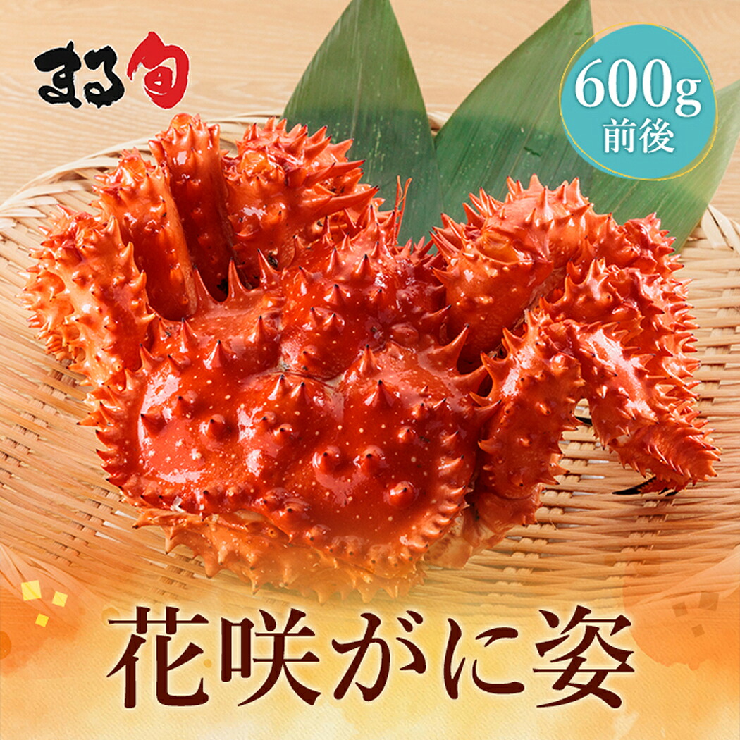 根室産 花咲ガニ 姿600ｇ前後　送料無料花咲蟹 姿 根室 北海道産 北海道 海鮮 海産物 海の幸 厳選 高級 高品質 希少 かに カニ 蟹 グルメ 取り寄せ 贈り物 ギフト お中元 お歳暮 お祝い 内祝い｜まる旬