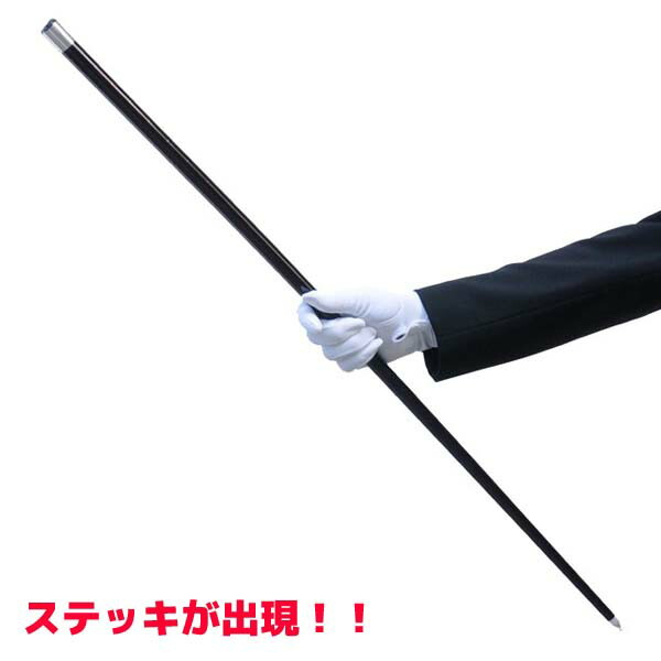 アピアリングケーン 黒 DP-Q6131 手品 マジック 出現するステッキ 手品・マジック