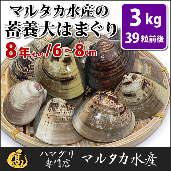 貨物輸送無料 蓄養大きいはまぐり 8年紀もの6cm 8cm大いさ蛤 ハマグリ 3kg 39粒子前後 滑り出し 甲羅 はまぐり ハマグリ 蛤 バーベキュー 海鮮 海鮮バーベキュー 直送 特大 Cannes Encheres Com