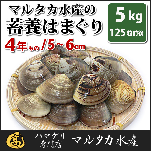 送料無料 お食い初め 業務用 大人買い蓄養はまぐり 4年もの5cm 6cmサイズ蛤 ハマグリ 5kg 125粒前後 入 貝 はまぐり料理 はまぐり ハマグリ 蛤 はまぐり バーベキュー 海鮮 海鮮バーベキュー 直送 マルタカ水産貝好きの皆様 かき あわび あさり ほたて ではなく