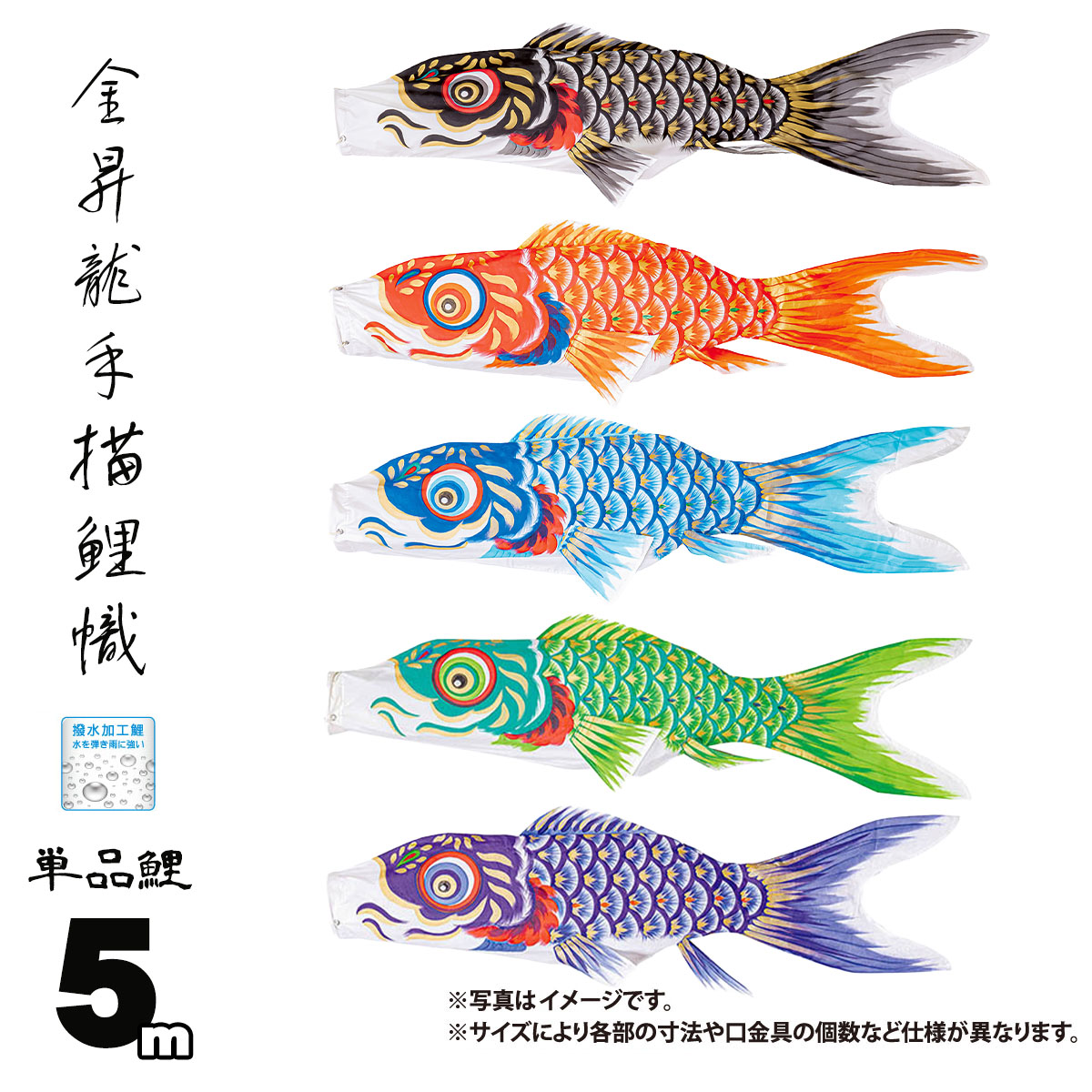 鯉のぼり 単品 金昇龍手描鯉 5m 口金具付き カラー 黒鯉|赤鯉|青鯉|緑鯉|紫鯉 木綿製 撥水加工 はっ水加工 日本製 ダイヤ鯉 KOD-T-748009K こいのぼり 鯉 鯉幟 単体 1匹 1本 追加 買い替え