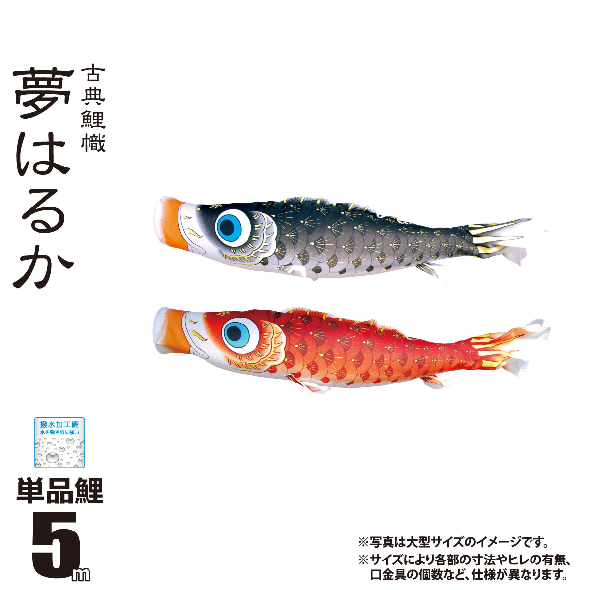 [PR]当店ご受け入れるの取り引き先へ 可動性人並み外れた出むかえ社会的運動のご御引き回し