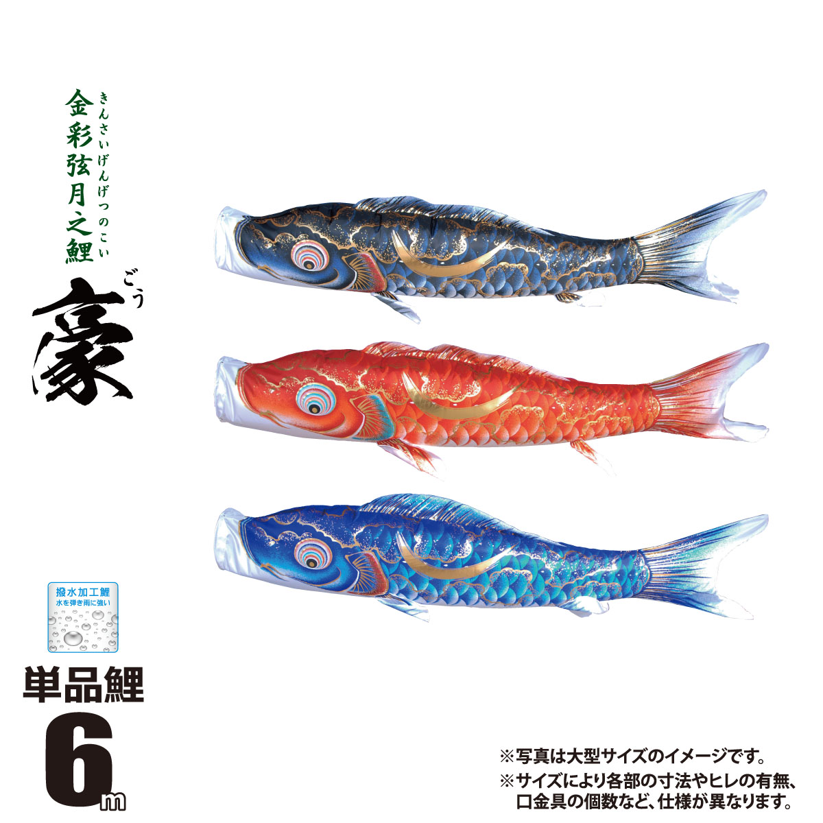 訳あり商品 鯉のぼり 単品 一匹単位豪 単品こいのぼり 6m 口金具付き