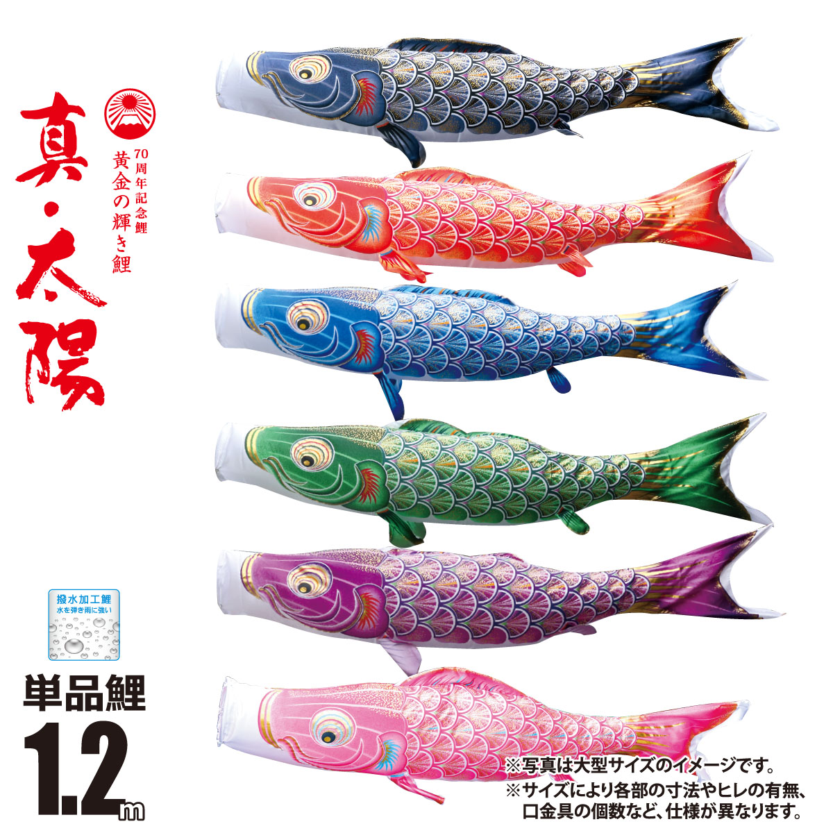 【楽天市場】鯉のぼり 単品 一匹単位真 太陽 単品鯉のぼり 1.2m 口