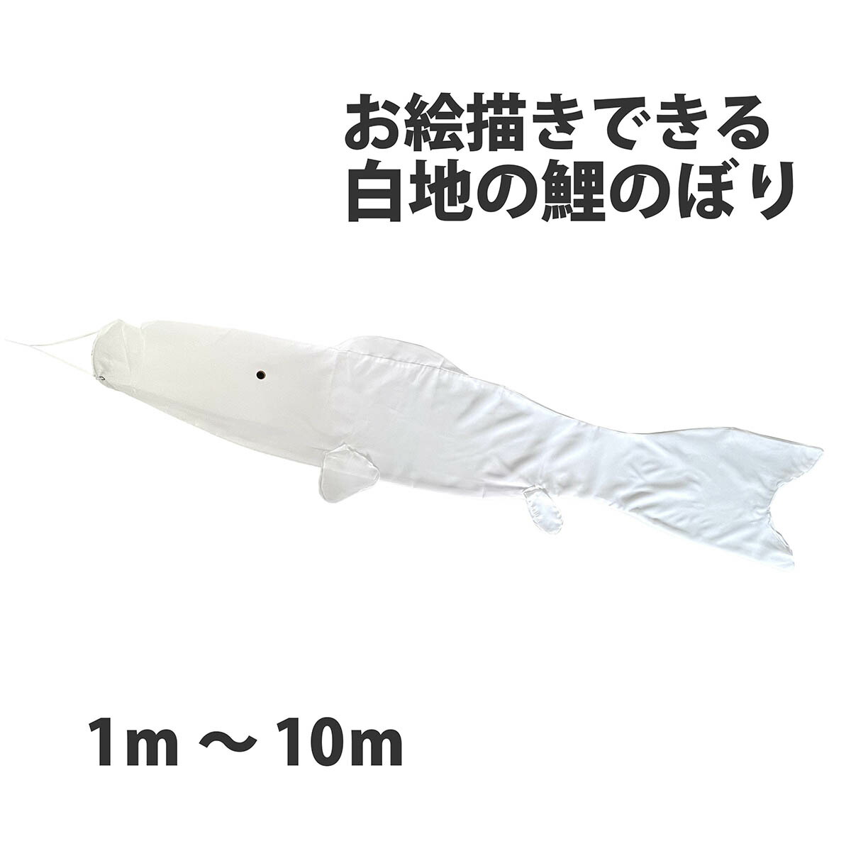 kot-t-007-704.jpg