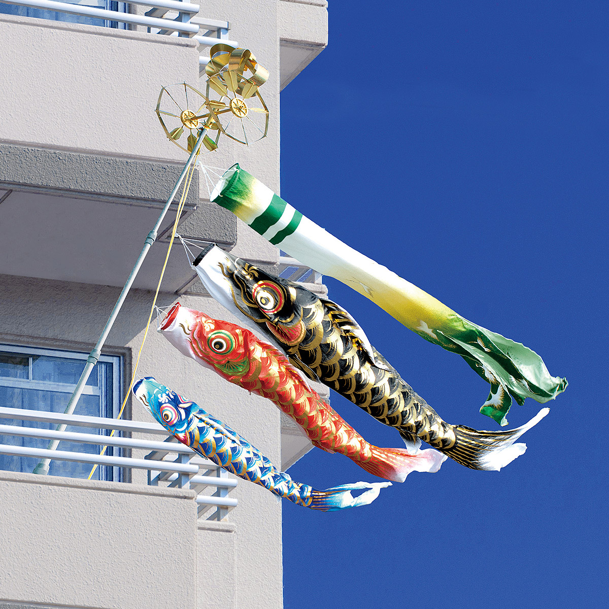 [PR]当店ご当てはめるの取り引き先へ 可動性人並み外れた出むかえ社会的運動のごお引き回し
